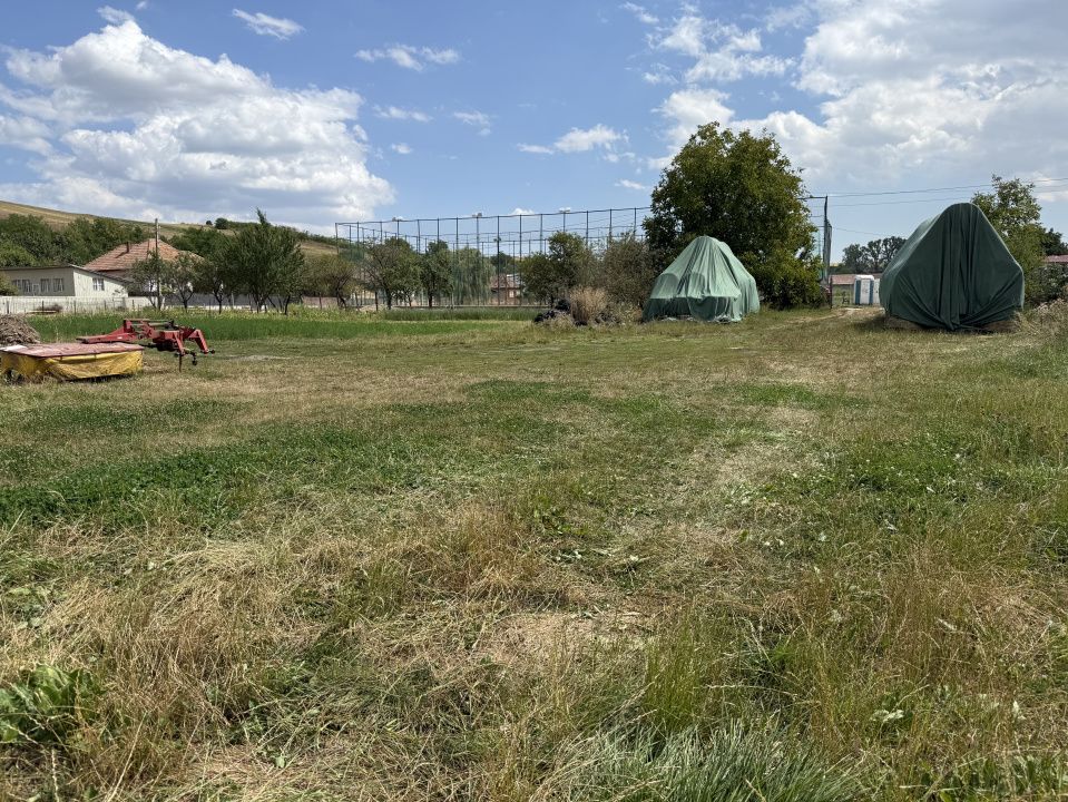 Teren de vânzare în Central, Pata – fotografia 3 din 6