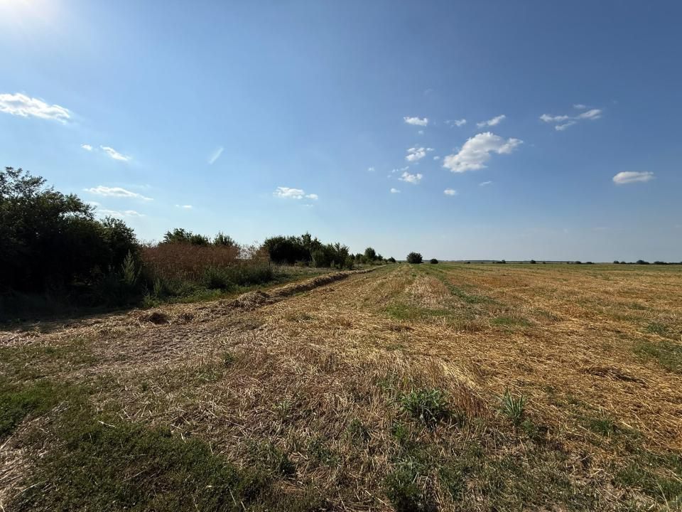 Teren de vânzare în Exterior Nord, Darza – fotografia 2 din 2