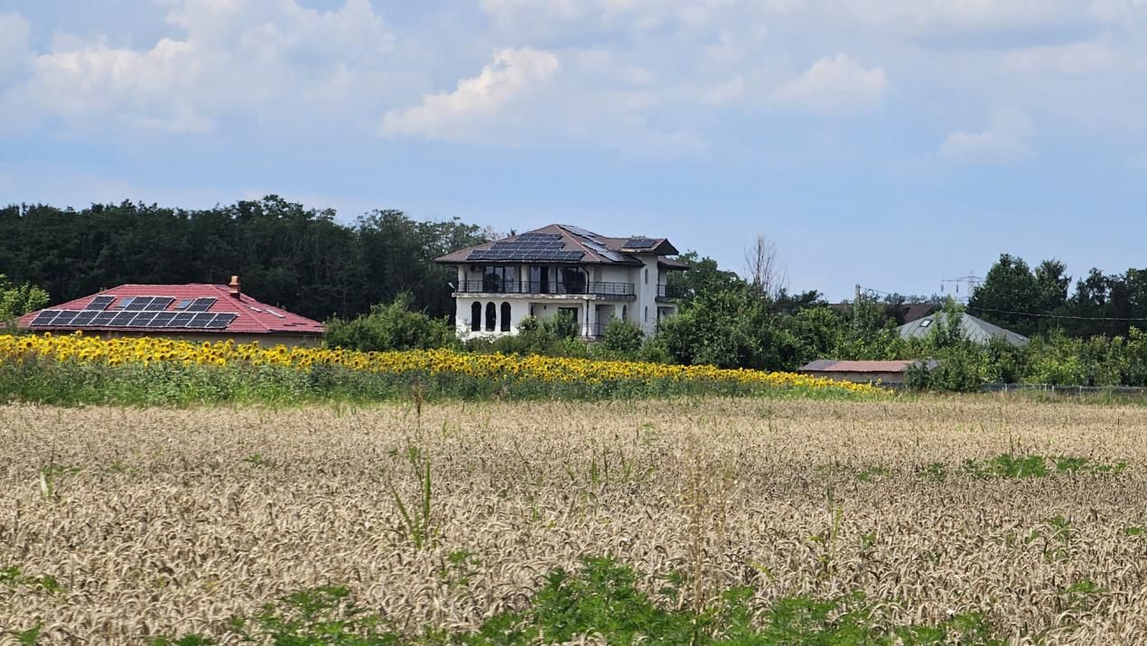 Teren de vânzare în Gulia – fotografia 6 din 19