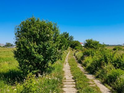 Teren de vânzare în Periferie, Bragadiru – fotografia 3 din 16