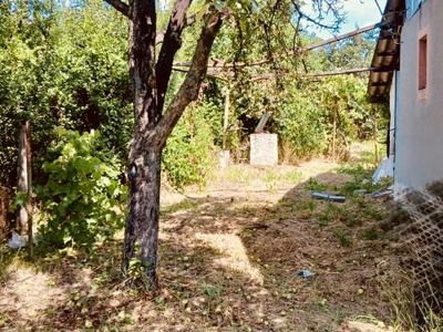 Casă cu 2 camere de vânzare în Ungheni – fotografia 4 din 5