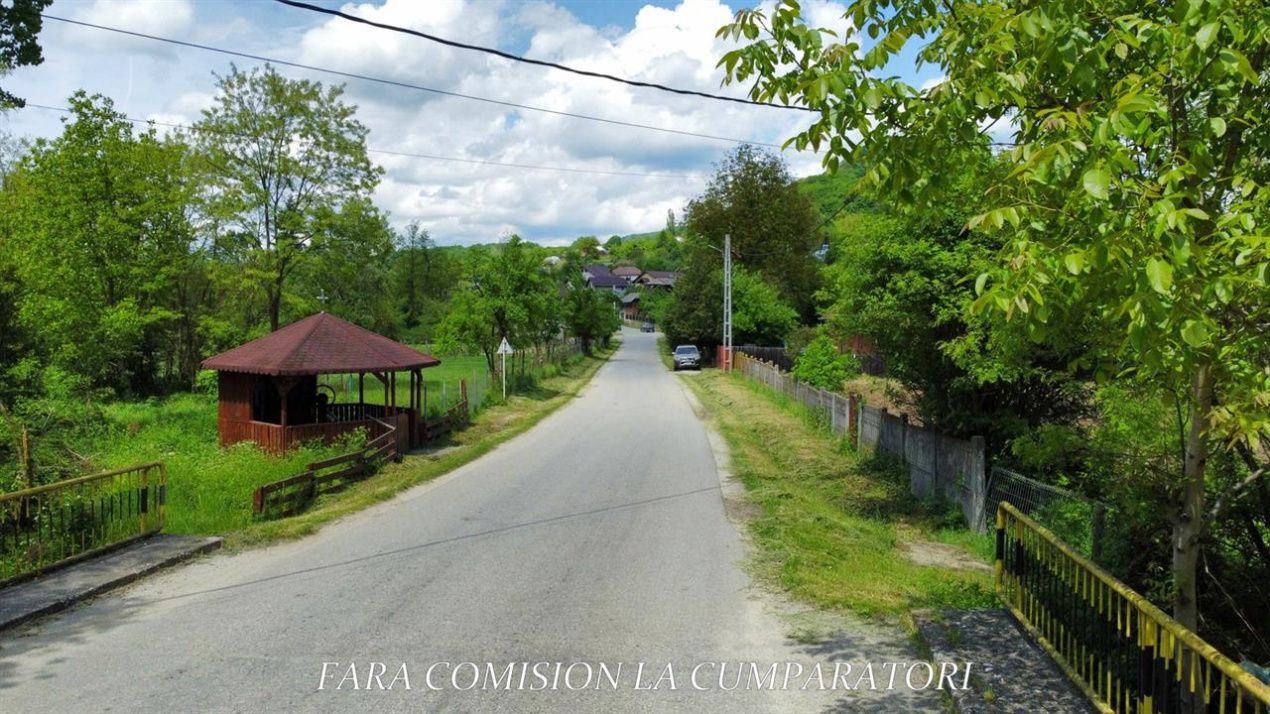 Teren de vânzare în Vest, Pausesti-Maglasi – fotografia 12 din 13