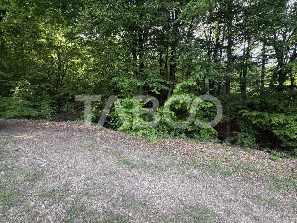 Teren de vânzare în Dragus – fotografia 4 din 4