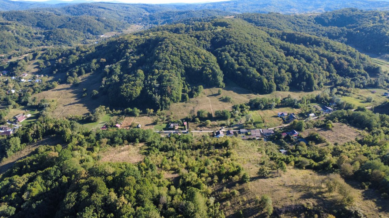 Teren de vânzare în Podis – fotografia 5 din 6