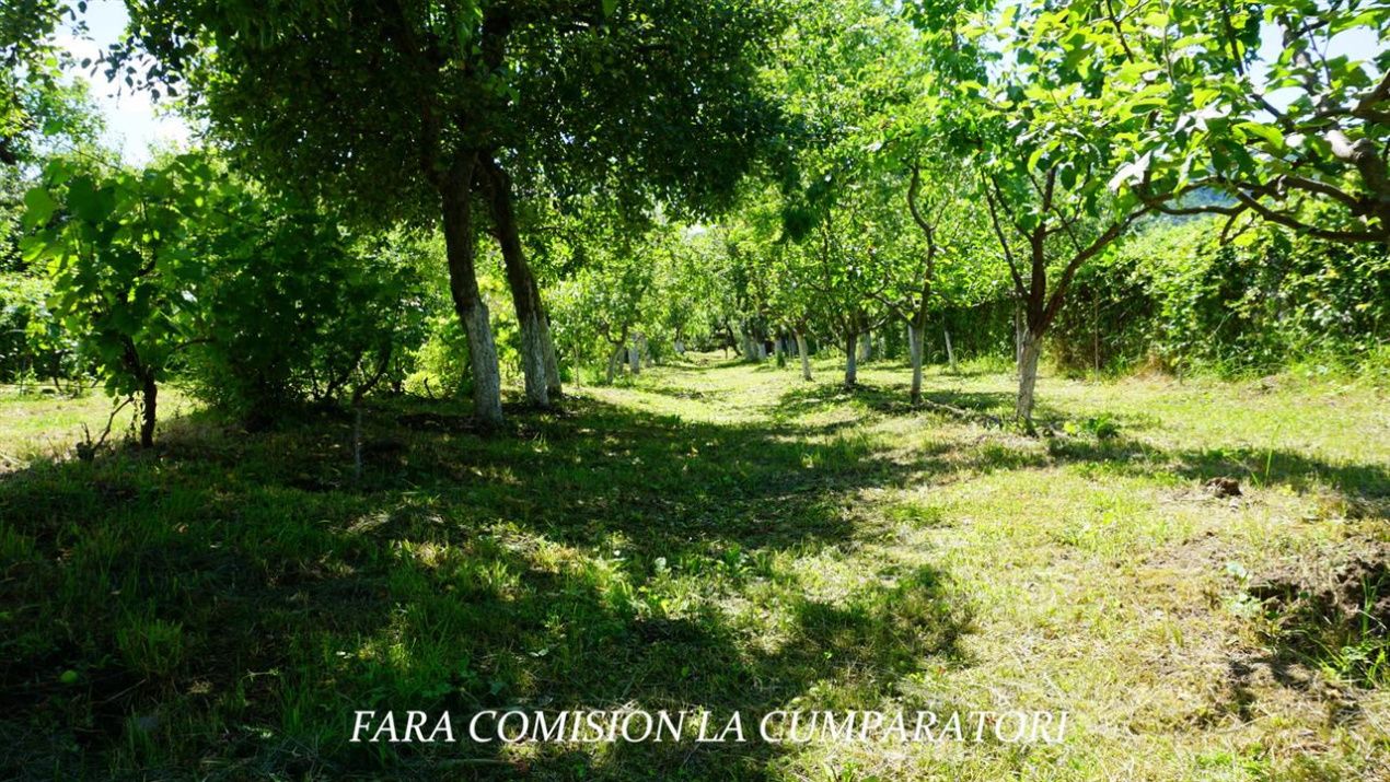 Casă cu 7 camere de vânzare în Daesti – fotografia 34 din 44
