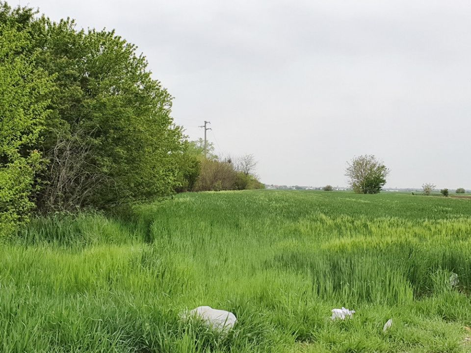 Teren de vânzare în Sud-Est, Vidra – fotografia 3 din 7