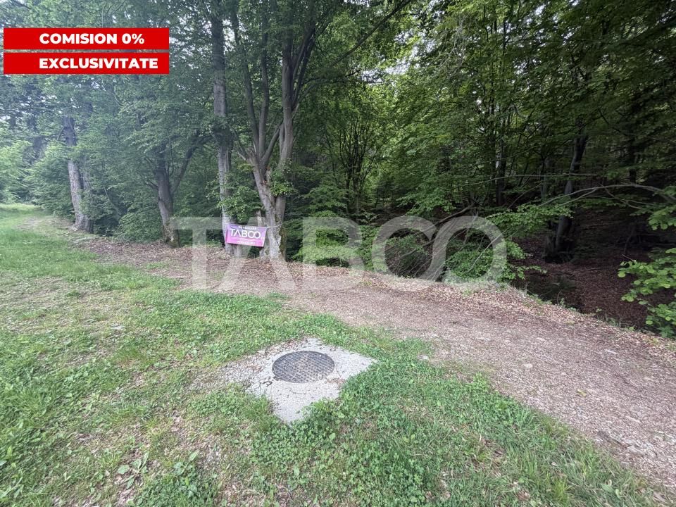 Teren de vânzare în Dragus – fotografia 1 din 4