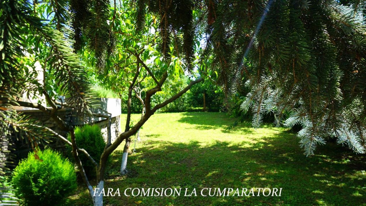 Casă cu 7 camere de vânzare în Daesti – fotografia 36 din 44