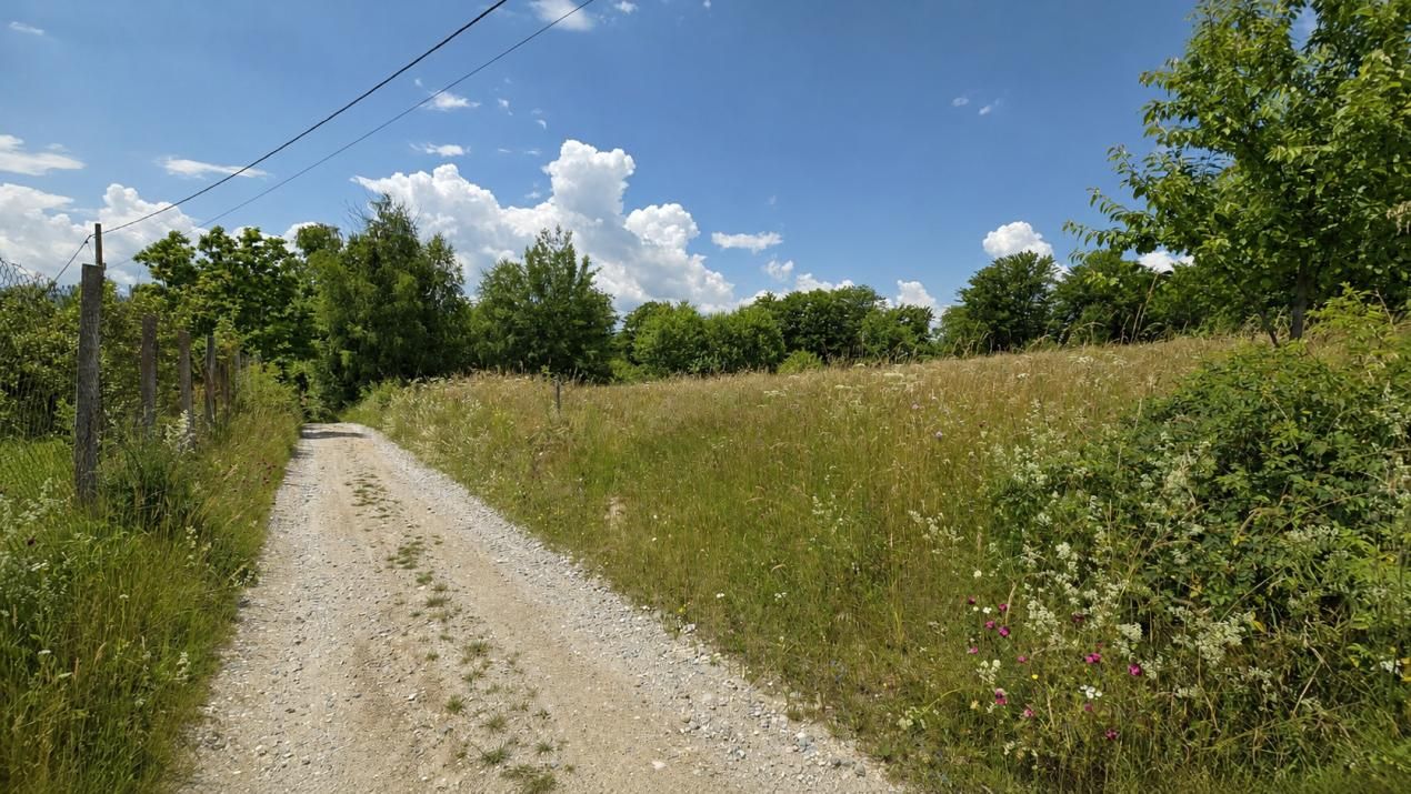 Teren de vânzare în Central, Poiana Marului – fotografia 7 din 8