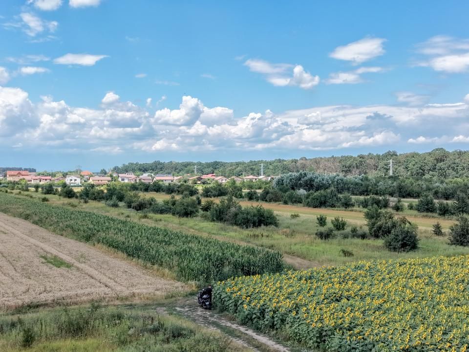Teren de vânzare în Gulia – fotografia 7 din 19