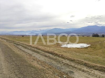 Teren de vânzare în Săliște – fotografia 4 din 6