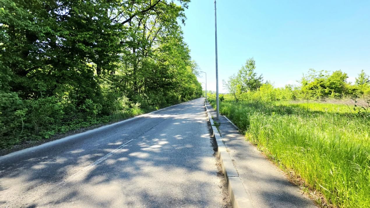 Teren de vânzare în Băneasa, București – fotografia 23 din 43
