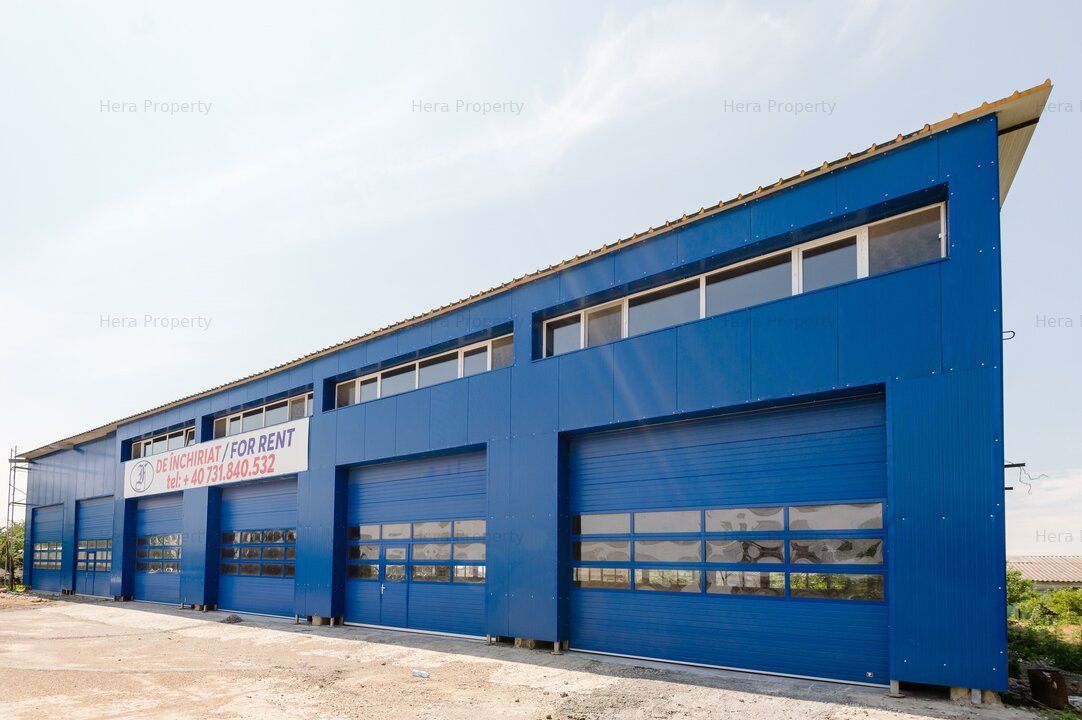 Spațiu industrial de închiriat în Vanatori – fotografia 3 din 26