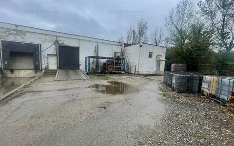 Spațiu industrial de vânzare în Buftea