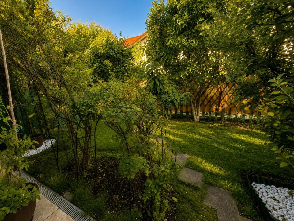 Casă cu 5 camere de vânzare în Nord, Voluntari – fotografia 13 din 14