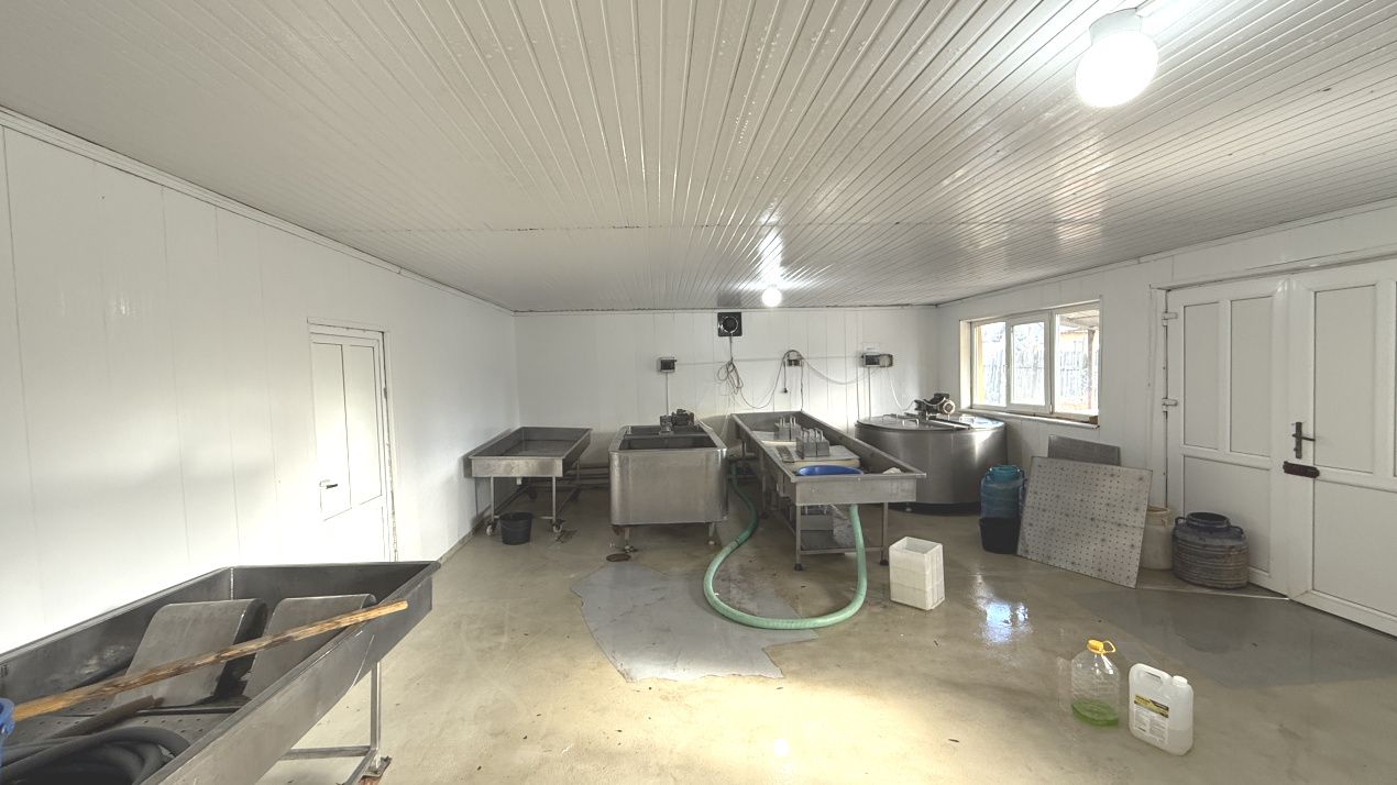 Spațiu comercial cu 5 camere de vânzare în Însurăței – fotografia 6 din 16