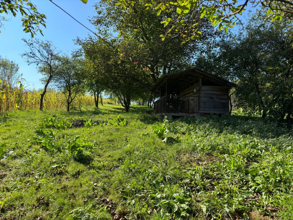 Casă cu 4 camere de vânzare în Exterior Sud, Jucu de Sus – fotografia 4 din 8