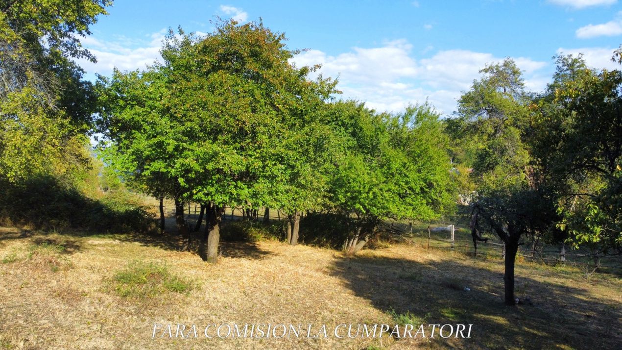 Teren de vânzare în Nord, Vladesti – fotografia 9 din 17