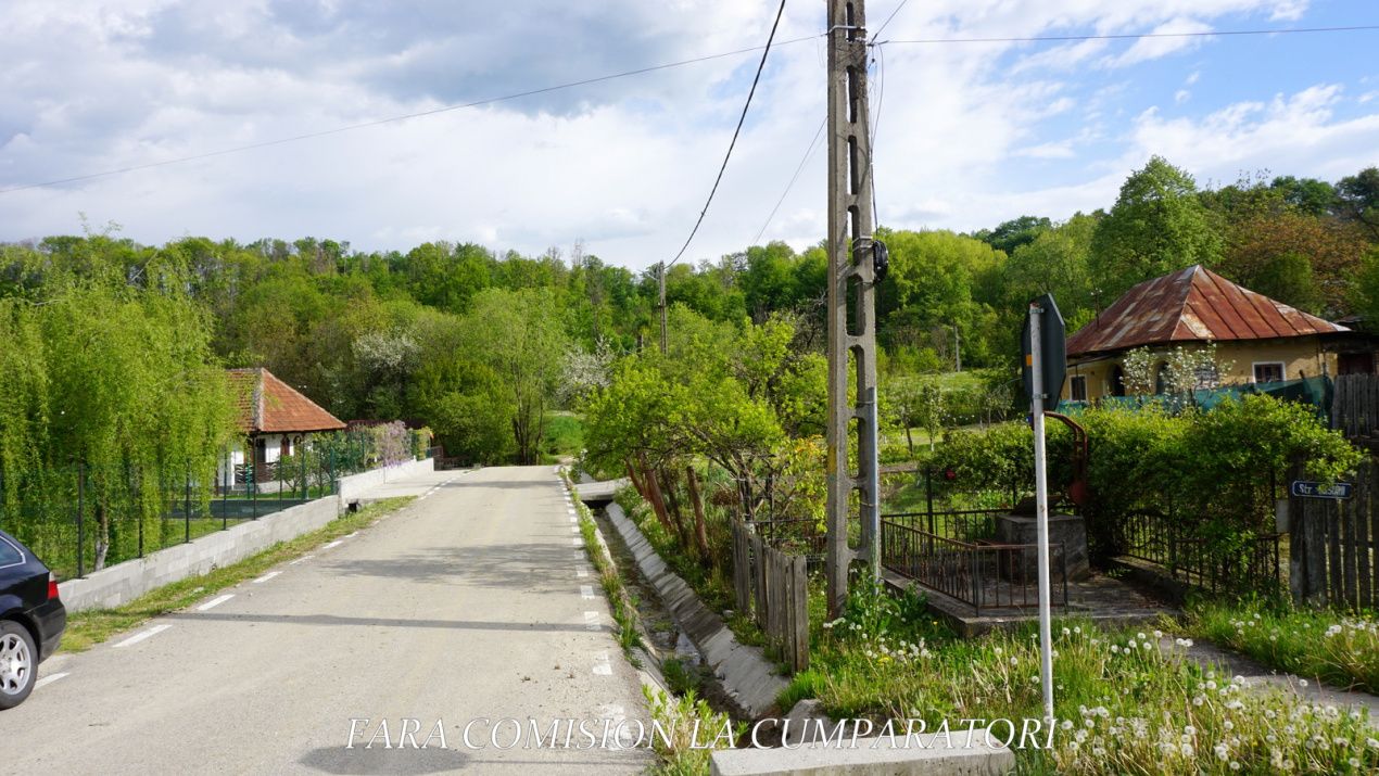 Teren de vânzare în Sud, Baile Govora – fotografia 26 din 27