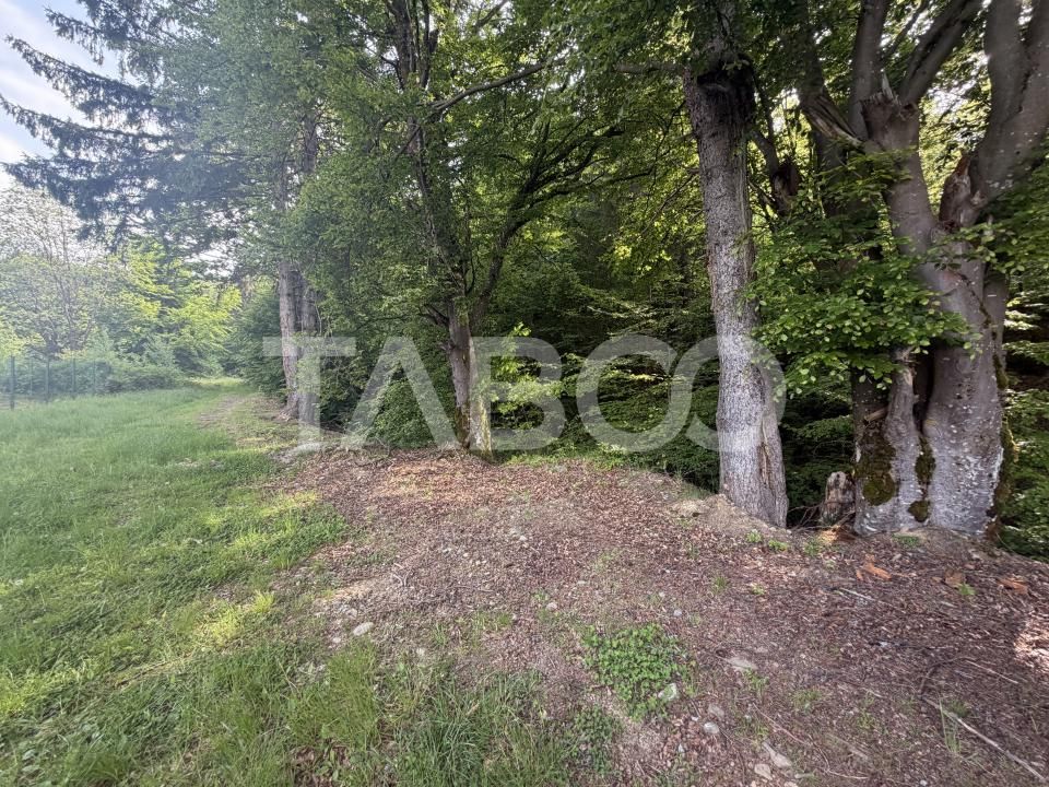 Teren de vânzare în Dragus – fotografia 2 din 4