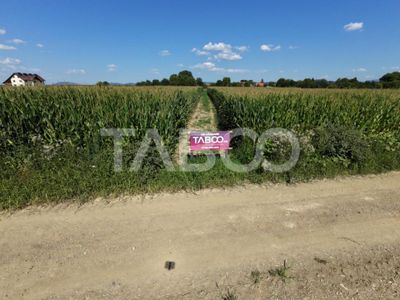 Teren de vânzare în Vad – fotografia 4 din 6