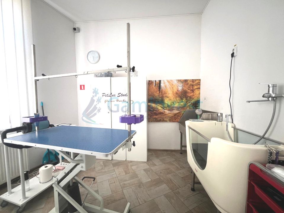 Spațiu comercial cu 5 camere de închiriat în Central, Oradea – fotografia 4 din 7