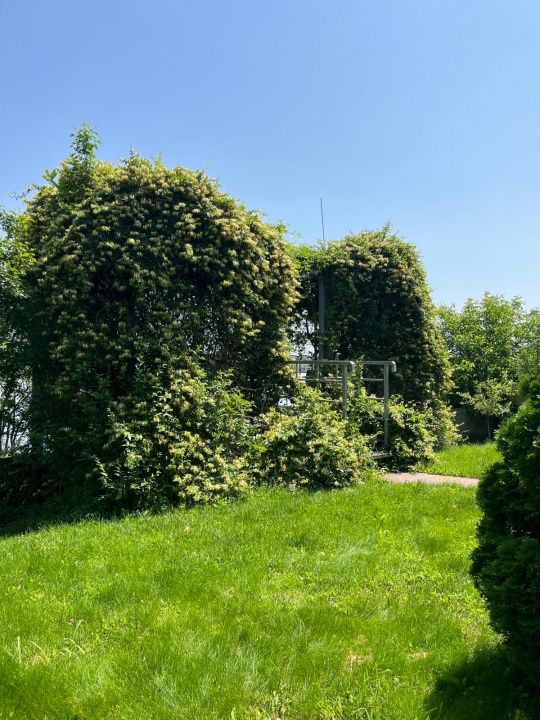Casă cu 13 camere de vânzare în Exterior Est, Crevedia – fotografia 47 din 54