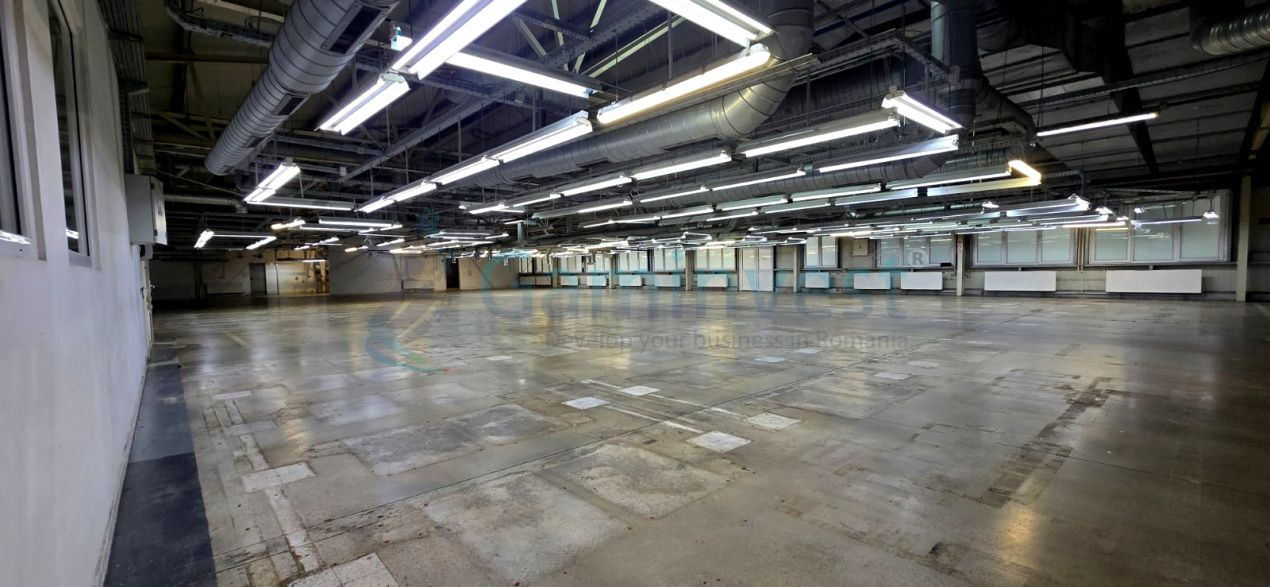 Spațiu industrial de închiriat în Marghita – fotografia 3 din 19