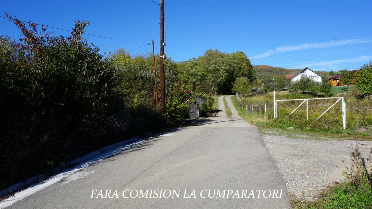 Teren de vânzare în Est, Pausesti-Maglasi – fotografia 13 din 17