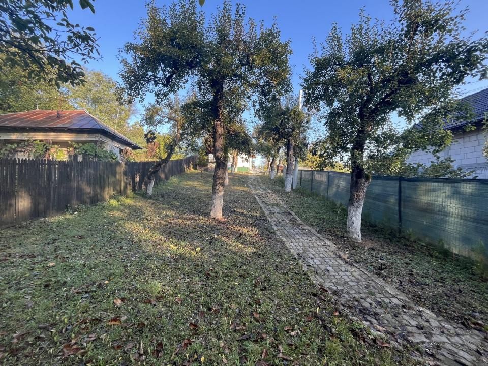 Casă cu 4 camere de vânzare în Central, Magura (Hulubesti) – fotografia 33 din 41