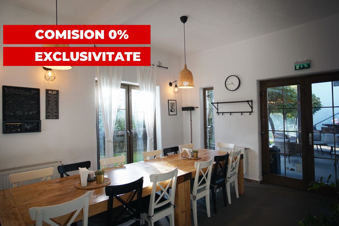 Hotel / pensiune cu 10 camere de vânzare în Vest, Vlaha – fotografia 23 din 40