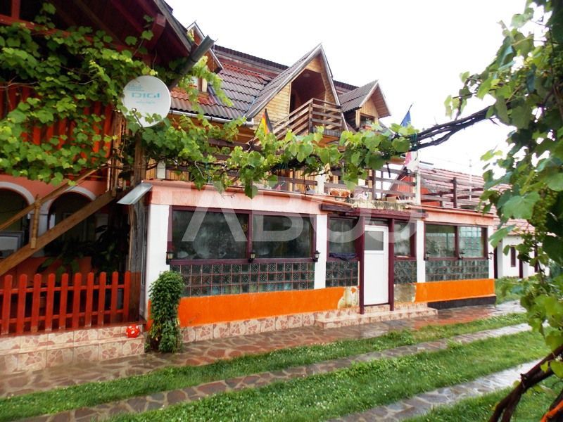 Hotel / pensiune cu 13 camere de vânzare în Cârțișoara – fotografia 5 din 53