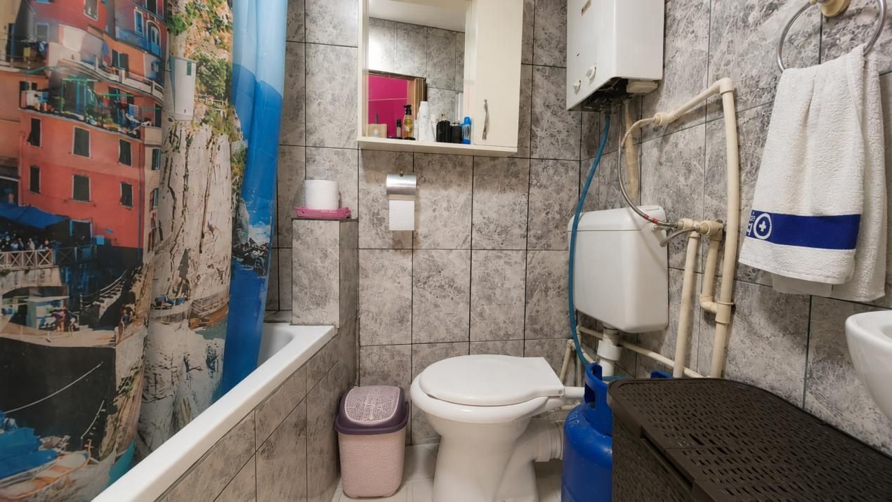 Casă cu 7 camere de vânzare în Pieptanari, București – fotografia 47 din 60