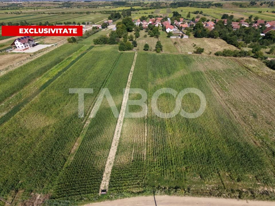 Teren de vânzare în Vad – fotografia 1 din 6