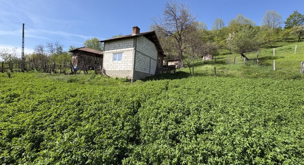 Teren de vânzare în Central, Barsestii de Sus – fotografia 7 din 13
