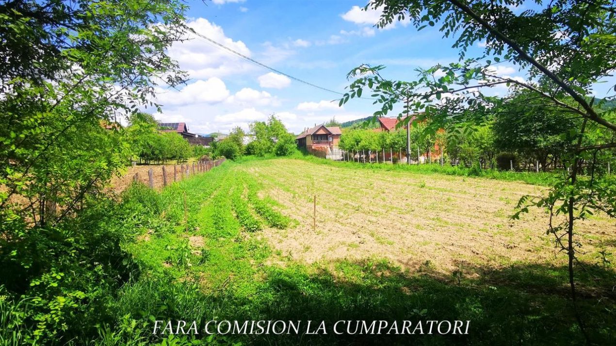 Teren de vânzare în Vest, Pausesti-Maglasi – fotografia 9 din 13
