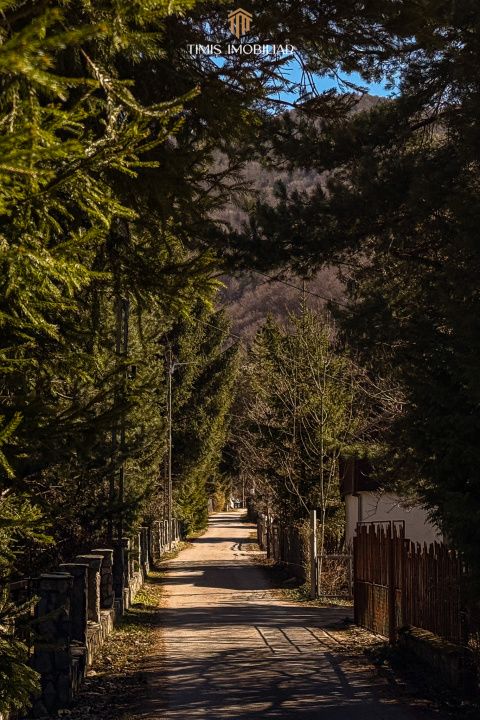 Teren de vânzare în Central, Poiana Marului – fotografia 3 din 26