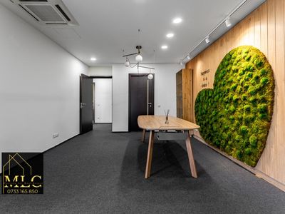 Spațiu de birouri cu 3 camere de închiriat în Cotroceni, București – fotografia 2 din 16