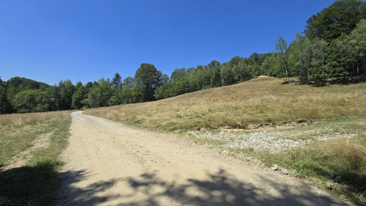 Teren de vânzare în Central, Poiana Marului – fotografia 1 din 9
