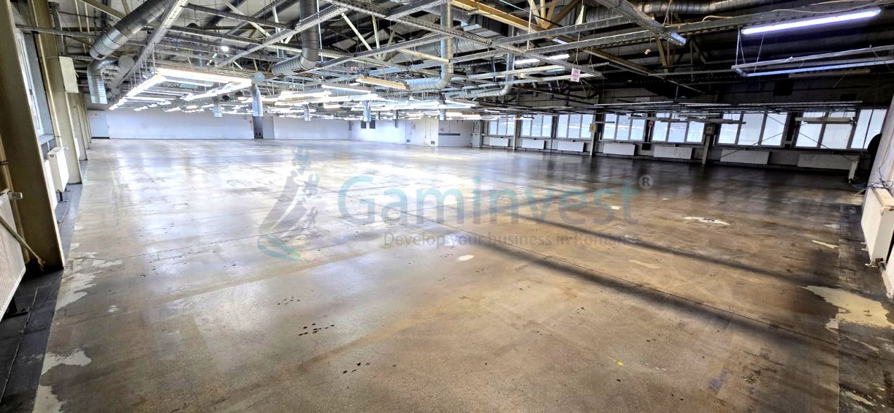 Spațiu industrial de închiriat în Marghita – fotografia 6 din 19