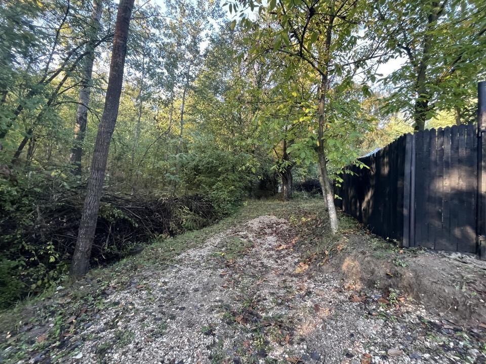 Casă cu 4 camere de vânzare în Central, Magura (Hulubesti) – fotografia 35 din 41