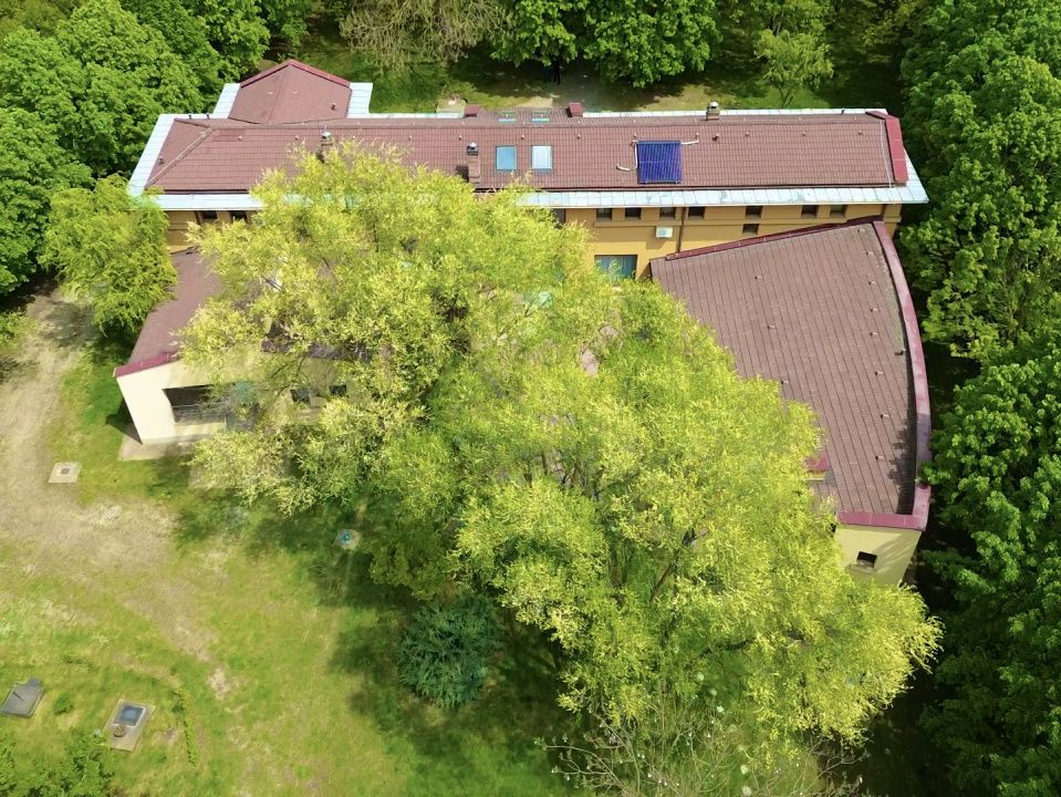 Casă cu 10 camere de vânzare în Central, Frumusani – fotografia 39 din 40
