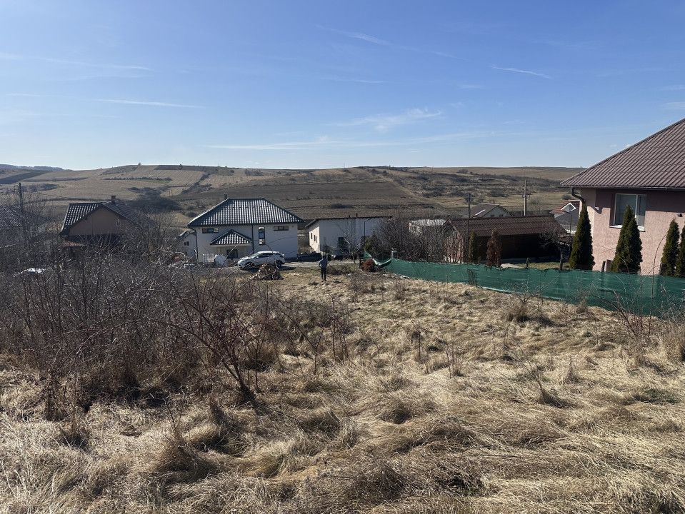 Teren de vânzare în Nord, Chinteni – fotografia 6 din 7