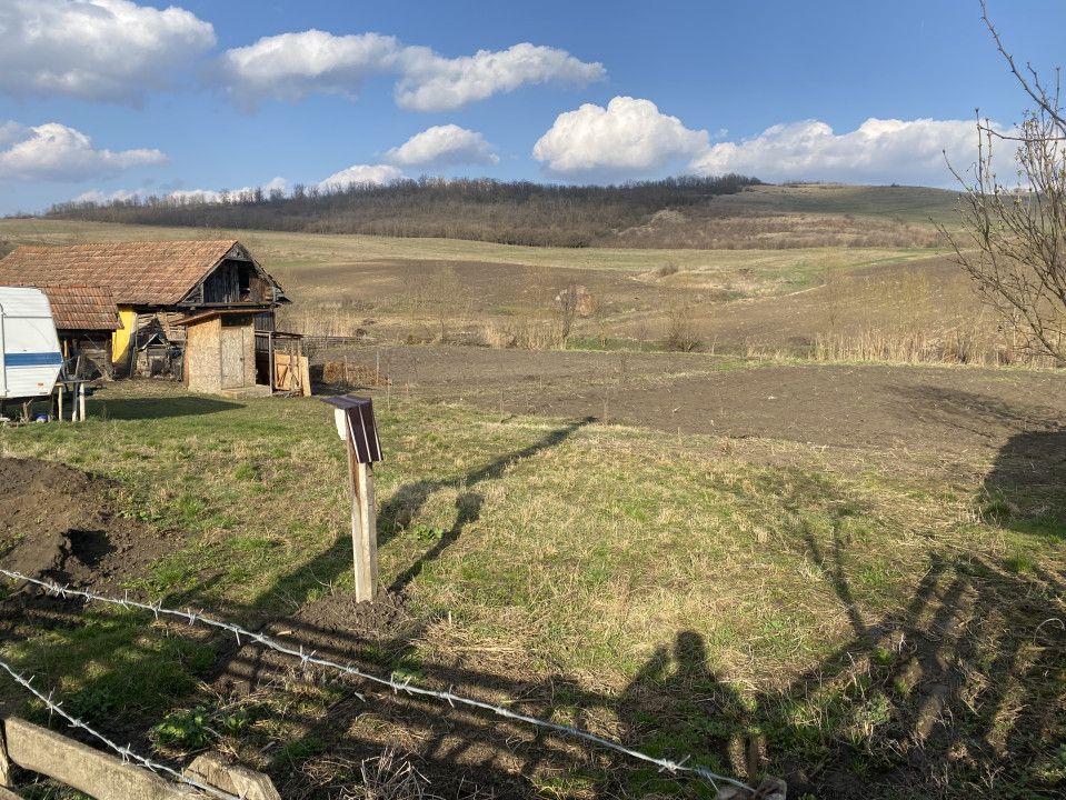 Teren de vânzare în Central, Visinelu – fotografia 3 din 7
