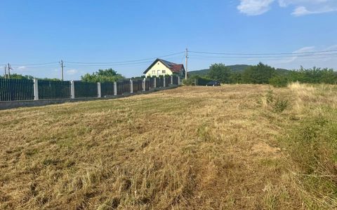 Teren de vânzare în Tălmaciu