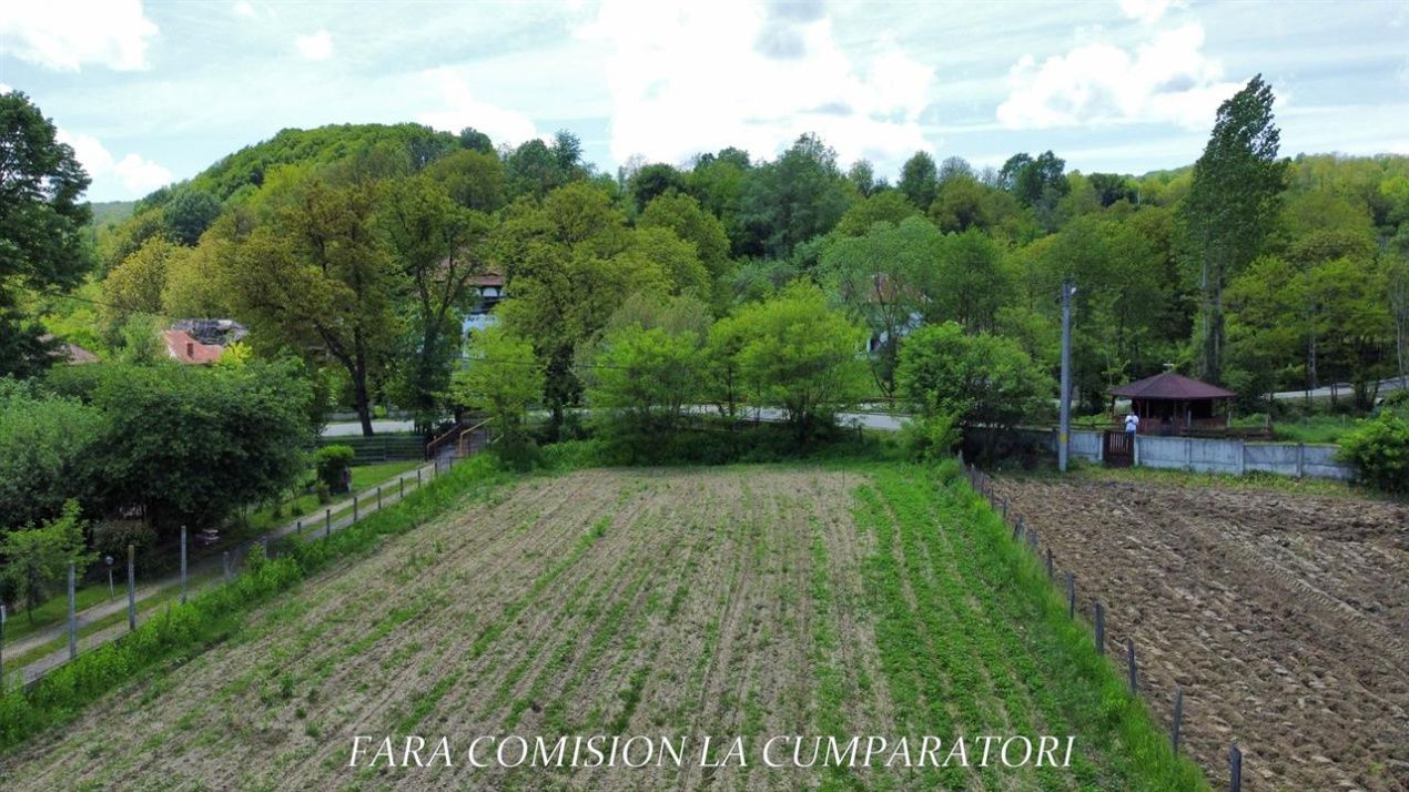 Teren de vânzare în Vest, Pausesti-Maglasi – fotografia 5 din 13
