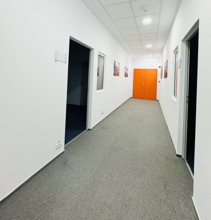 Spațiu de birouri cu 12 camere de închiriat în Popești-Leordeni – fotografia 14 din 23