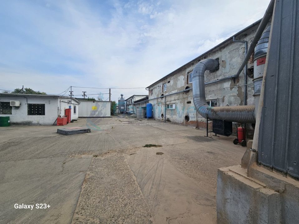 Spațiu industrial de vânzare în Bors – fotografia 5 din 19