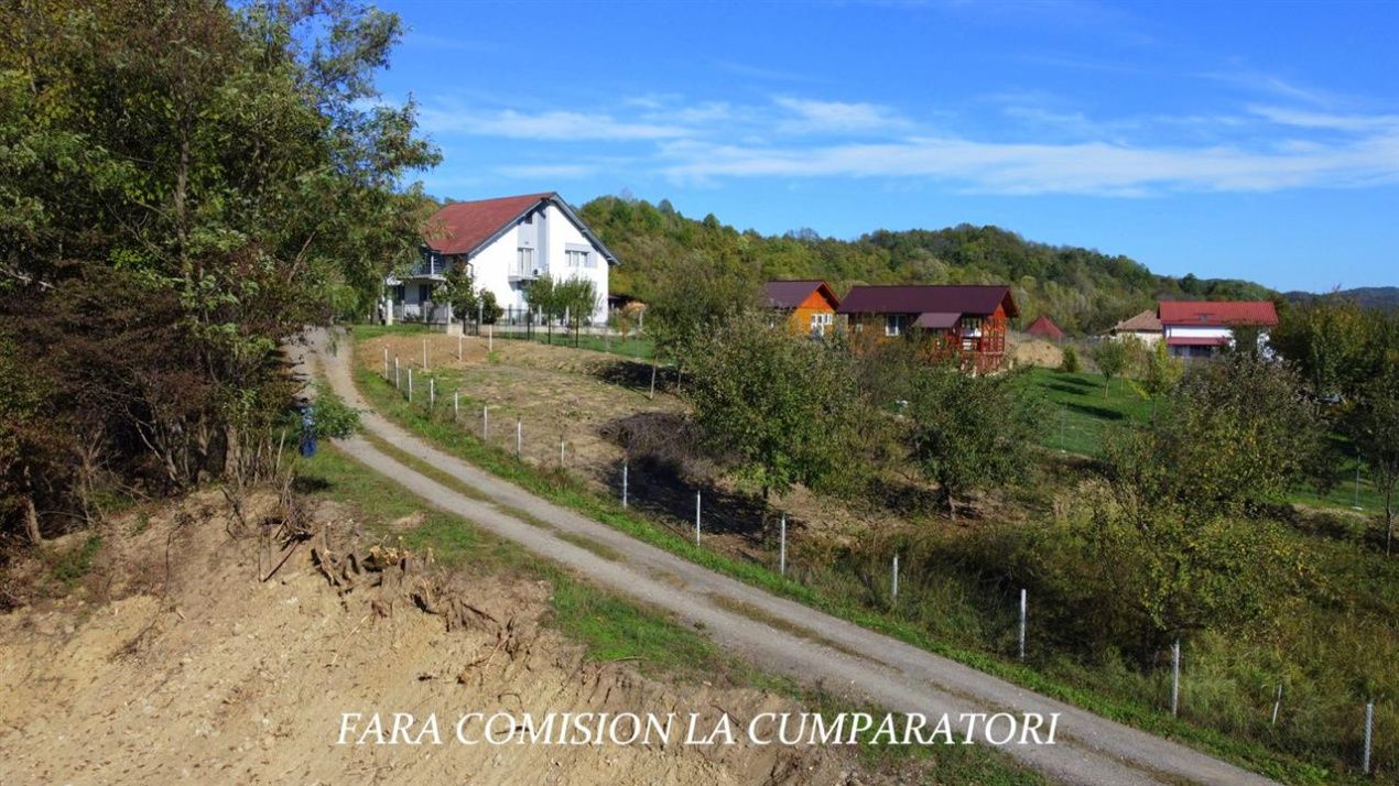 Teren de vânzare în Est, Pausesti-Maglasi – fotografia 8 din 17
