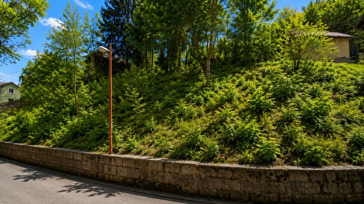 Teren de vânzare în Schei, Brașov – fotografia 2 din 6